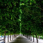 Emily in Paris in the garden of the Palais Royal by PARIS BY EMY