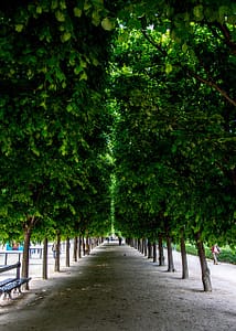 Emily in Paris in the garden of the Palais Royal by PARIS BY EMY